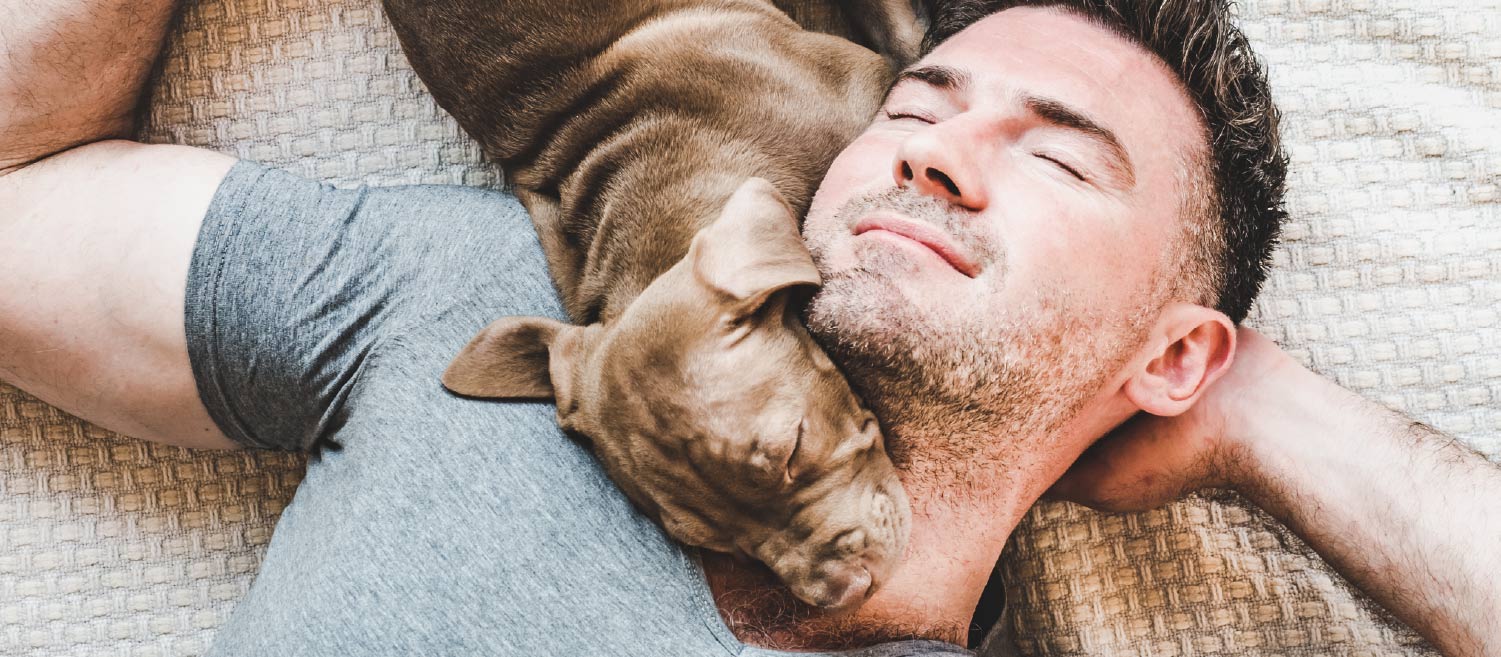 Man sleeps shop with dog