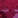 Cabernet Shadow Floral Lace